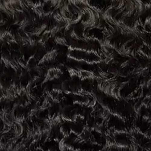 Burmese curly